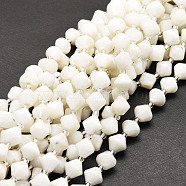 Natural White Moonstone Beads Strands, Faceted, Bicone, 8x8mm, Hole: 1mm, about 40pcs/strand, 15.24''(38.7cm)(G-E569-C19)