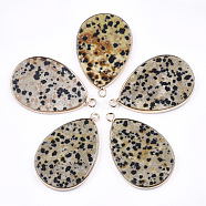 Natural Dalmatian Jasper Pendants, with Brass Findings, teardrop, Golden, 39x25x3mm, Hole: 2mm(G-T112-22C)
