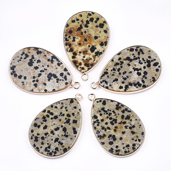 Natural Dalmatian Jasper Pendants, with Brass Findings, teardrop, Golden, 39x25x3mm, Hole: 2mm