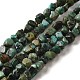 Natural African Turquoise(Jasper) Beads Strands(G-D081-A05)-1