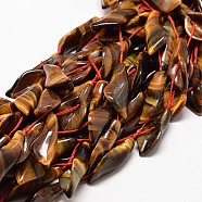 Natural Tiger Eye Bead Strands, Calla Lily, 32~38x14~18x11mm, Hole: 1mm, about 10pcs/strand, 16 inch(G-E254-07-34x15mm)