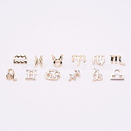 Alloy Charms, Twelve Constellations, Light Gold, 9.5~14.5x8~14.5x5~5.5mm, Hole: 1.5mm, 12pcs/set(PALLOY-WH0088-13LG)