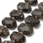 Natural Snowflake Obsidian Beads Strands, with Glass Beads, Faceted, Rectangle, 20.5~22.5x15.5~16.5x6.5~7.5mm, Hole: 1.6mm, about 21pcs/strand, 15.12~15.28''(38.4~38.8cm)(G-H078-B22-01)