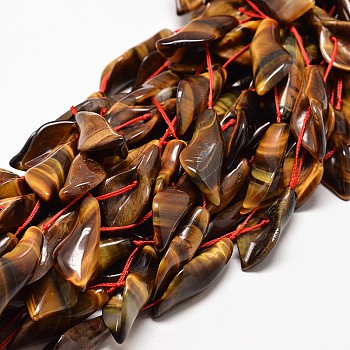 Natural Tiger Eye Bead Strands, Calla Lily, 32~38x14~18x11mm, Hole: 1mm, about 10pcs/strand, 16 inch