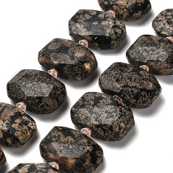 Natural Snowflake Obsidian Beads Strands, with Glass Beads, Faceted, Rectangle, 20.5~22.5x15.5~16.5x6.5~7.5mm, Hole: 1.6mm, about 21pcs/strand, 15.12~15.28''(38.4~38.8cm)