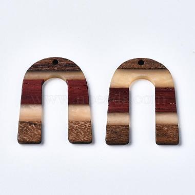Resin & Walnut Wood Pendants(X-RESI-R428-07)-2