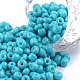Baking Paint Glass Seed Beads(SEED-S003-K10)-1