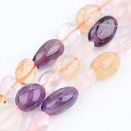 Natural Citrine & Rose Quartz & Amethyst Beads Strands, Tumbled Stone, Nuggets, 5~13x5~10x3~8mm, Hole: 1mm, about 40~60pcs/strand, 14.57 inch~15.74 inch(37~40cm)(G-S359-143)
