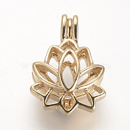 Alloy Diffuser Locket Pendants, Cage Pendants, Flower, Golden, 25x17.5x10.5mm, Hole: 3.5x4.5mm, inner measure: 11.5x14mm(PALLOY-S062-40G)