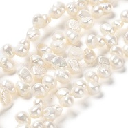 Natural Cultured Freshwater Pearl Beads Strands, Grade 4A+, Two Sides Polished, Seashell Color, 7.5~8x6~7x5~6mm, Hole: 0.7mm, about 78~80pcs/strand, 15.94~16.14''(40.5~41cm)(PEAR-J007-44)
