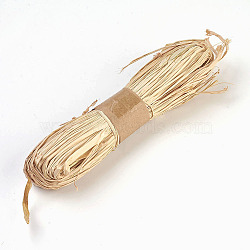 Raffia Ribbon, Raffia Twine Paper Cords for Gift Wrapping and Weaving, Navajo White, 10mm, about 30g/bundle(DIY-WH0063-11)