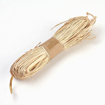 Raffia Ribbon, Raffia Twine Paper Cords for Gift Wrapping and Weaving, Navajo White, 10mm, about 30g/bundle