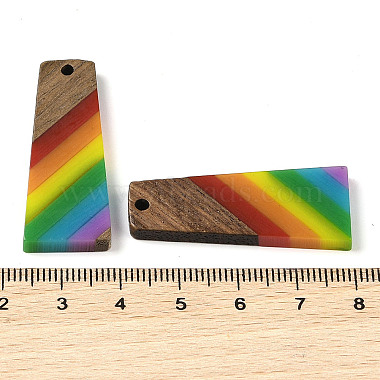 pendentifs en résine et bois de noyer sur le thème arc-en-ciel de la fierté(WOOD-K012-10B)-3