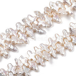 Natural Keshi Pearl Beads Strands, Baroque Style Cultured Freshwater Pearl, Cross, Seashell Color, 12~20x7.5~9.5x3.5~5mm, Hole: 0.7mm, about 98~103pcs/strand, 16.14 inch~16.54 inch(41~42cm)(PEAR-S020-N02)