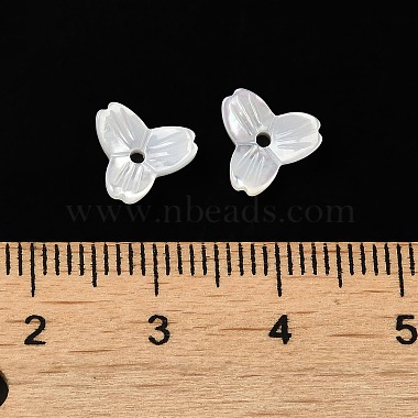 Natural White Shell Beads(SSHEL-M022-09)-3