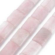 Natural Rose Quartz Beads Strands, Rectangle, 24~25x18x7mm, Hole: 1.2mm, about 15pcs/strand, 14.76 inch (37.5cm)(G-S359-341)