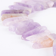 Natural Amethyst Gemstone Bead Strands, Rough Nuggets, 17~53x6~18x4~10mm, Hole: 2mm, about 35~41pcs/strand, 15.75 inch(G-E242-01)