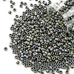 TOHO Round Seed Beads, Japanese Seed Beads, (613) Matte Color Iris Gray, 8/0, 3mm, Hole: 1mm, about 222pcs/bottle, 10g/bottle(SEED-JPTR08-0613)