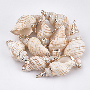 Electroplate Spiral Shell Pendants, with Iron Findings, Golden, Seashell Color, 27~41x13~20x12~18mm, Hole: 1.5~1.8mm(SSHEL-T009-13)
