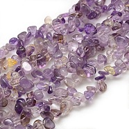 Natural Ametrine Beads Strands, Chips, 6~12x5~9x3~6mm, Hole: 1mm, about 60~75pcs/strand, 15~16 inch(X-G-P035-02)