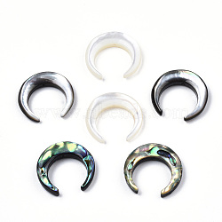 Natural Shell Bead sets, Including Black Lip Shell & Abalone Shell/Paua Shell & White Shell, Crescent Moon, 19x20x4~4.5mm, Hole: 0.8mm, about 6pcs/bag(SSHEL-N034-122A)