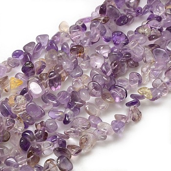 Natural Ametrine Beads Strands, Chips, 6~12x5~9x3~6mm, Hole: 1mm, about 60~75pcs/strand, 15~16 inch
