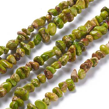 Natural Imperial Jasper Bead Strands, Dyed, Chips, Dark Khaki, 6~10x5~8x4~6mm, Hole: 1.2mm, about 79pcs/strand, 15.75 inch(40cm)
