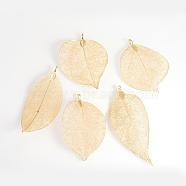 Electroplated Natural Leaf Big Pendants, with Iron Findings, Light Gold Plated, 55~85x25~40x1mm, Hole: 3x6mm(IFIN-Q119-02E)