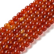 Natural Agate Beads Strands, Dyed, Round, Red, 8mm, Hole: 1mm, about 52pcs/strand, 15.5 inch(G-G390-8mm-03)