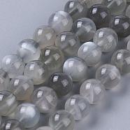 Natural Grey Moonstone Beads Strands, Round, 4mm, Hole: 0.4mm, about 98~100pcs/strand, 15.7 inch(40cm)(G-F632-29-01)
