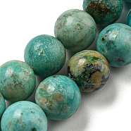 Natural Peruvian Turquoise(Jasper) Beads Strands, Grade A, Round, 8mm, Hole: 1mm, about 51pcs/strand, 15.43''(39.2cm)(G-A219-A05-03)