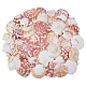 500G Natural Shell Ornaments(DJEW-FH0001-35A)-1