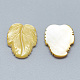 Желтые оболочки кабошоны(SSHEL-S260-103A)-2