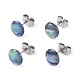 Natural Abalone Shell/Paua Shell Stud Earrings(EJEW-JE03214)-1