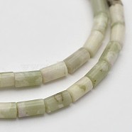 Column Natural Peace Jade Beads Strands, 5x3mm, Hole: 0.5mm, about 78pcs/strand, 15.7 inch(G-N0153-65)