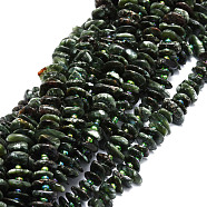 Natural Seraphinite Beads Strands, Oval, 7~12x9~15x1.5~4.5mm, Hole: 1mm, about 83pcs/strand, 14.88''(37.8cm)(G-E569-K02)