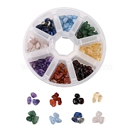 8 Colors Natural Stones Chip Bead Sets, Natural South Red Agate & Garnet & Citrine & Green Aventurin & Aquamarine & Lapis Lazuli & Amethyst & Quartz Crystal, 2.5~16x3~11.5mm, Hole: 0.5~1mm, 82g/box(G-FS0002-33)