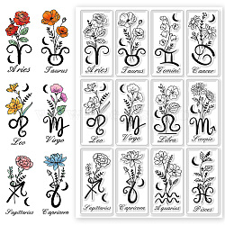 Custom PVC Plastic Clear Stamps, for DIY Scrapbooking, Photo Album Decorative, Cards Making, Constellation, 160x110mm(DIY-WH0618-0076)