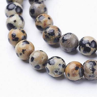 dalmatien naturelle perles de jaspe brins(GSR6mmC004)-2