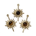 Natural Tiger Eye Pendants, Sun Charms, with 304 Stainless Steel Settings, Real 14K Gold Plated, 27x17.5x4.5mm, Hole: 1.6mm(X-STAS-R005-02G)