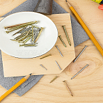 10 Styles 304 Stainless Steel Stereoplasm Cement Nail, Steel Nail Household Tools, Golden & Stainless Steel Color, 20~51x3~7mm, 170pcs/set(STAS-LP0005-65)
