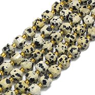 Natural Dalmatian Jasper Beads Strands, Faceted, Cube, 6.5~7.5x6.5~7.5x6.5~7.5mm, Hole: 1.2mm, about 43~44pcs/strand, 15.35~15.55 inch(39~39.5cm)(G-I376-D85-01)