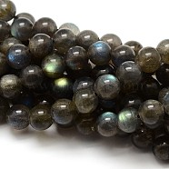 Grade AA Natural Gemstone Labradorite Round Beads Strands, 6mm, Hole: 1mm, about 62pcs/strand, 15.5 inch(G-E251-33-6mm)