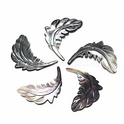 Natural Black Lip Shell Pendants, Leaf, 39x26x3mm, Hole: 0.7mm(SSHEL-N036-062)