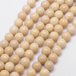 Fossil Beads, Dyed, Round, White, 10mm, Hole: 0.8mm, about 40pcs/strand, 16 inch(X-G-SR10MM-FS01)