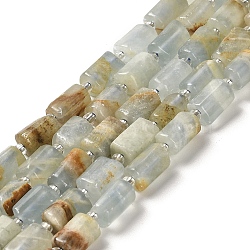Natural Blue Calcite Beads Strands, with Seed Beads, Faceted, Column, 8.5~11x5.5~6.5mm, Hole: 1mm, about 14~15pcs/strand, 7.48''(19cm)(G-N327-06-05)