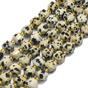 Natural Dalmatian Jasper Beads Strands, Faceted, Cube, 6.5~7.5x6.5~7.5x6.5~7.5mm, Hole: 1.2mm, about 43~44pcs/strand, 15.35~15.55 inch(39~39.5cm)