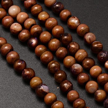 Natural Freshwater Shell Round Bead Strands, Dyed, Coconut Brown, 6mm, Hole: 1mm, about 62pcs/strand, 14.5 inch