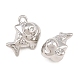 Alloy Charms(AL-CBA83D5-22P)-2