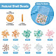 200Pcs 10 Colors Natural Shell Beads Strands(BSHE-TA0001-19)-4